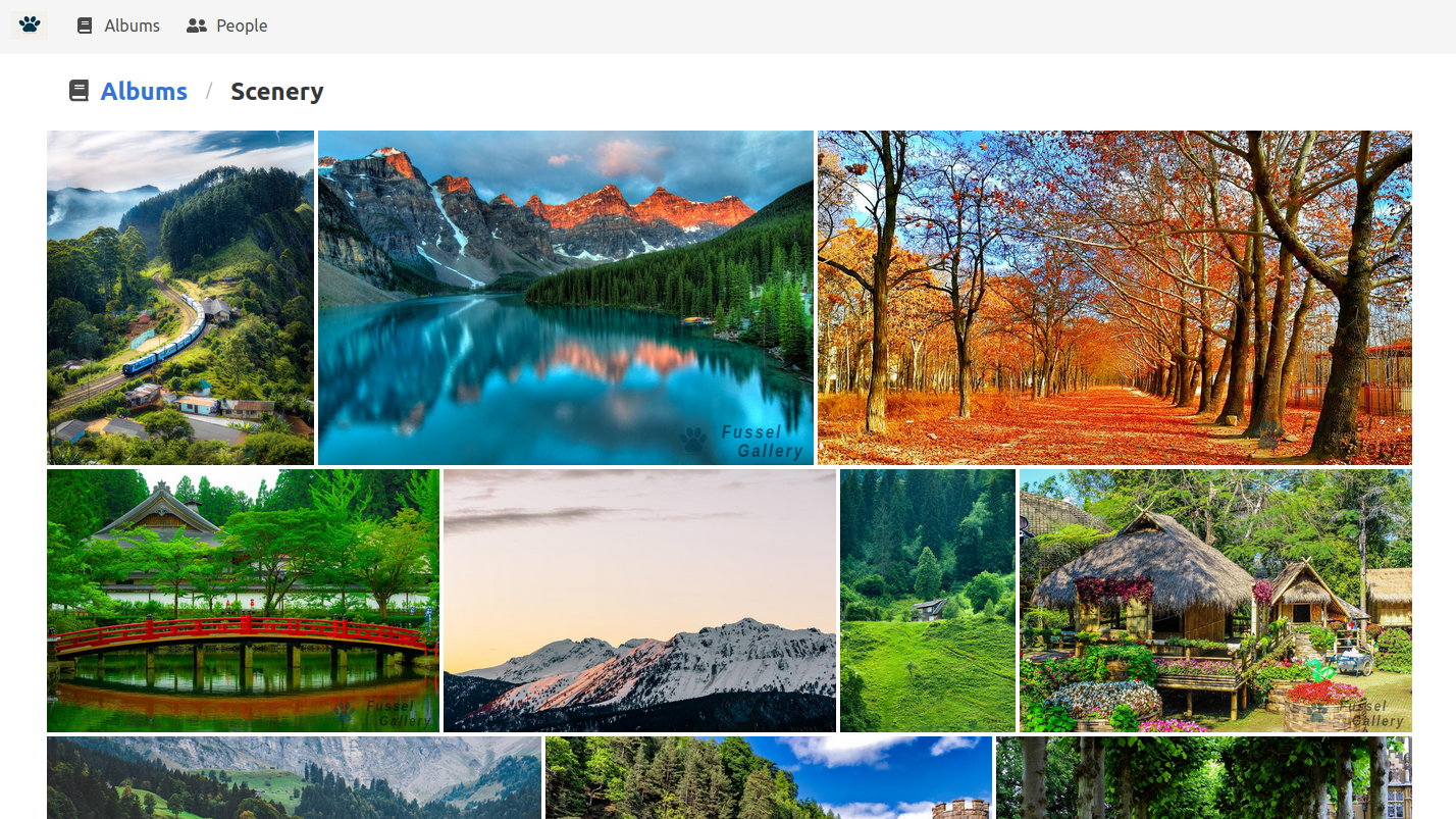 Album Screenshot